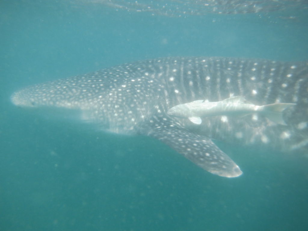 b0df3c12-daf6-4e5d-84c1-eaa5071f2560