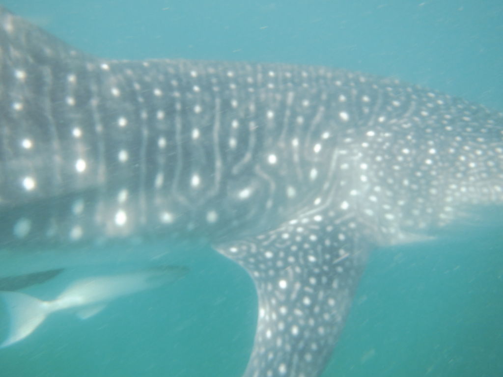 b0df3c12-daf6-4e5d-84c1-eaa5071f2560