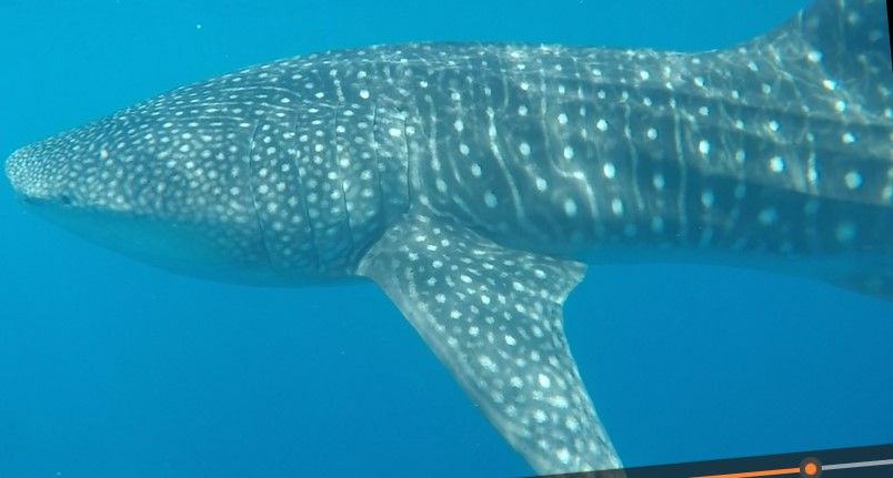 2eb77de9-1170-49a0-b6a2-5b97f72839bf