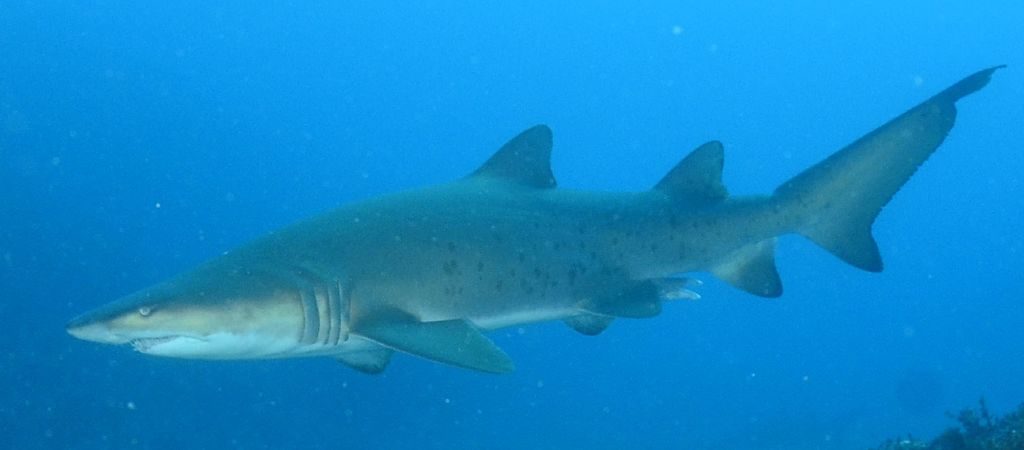 32928760-8a11-40b1-a2cb-04902fa9e9c6