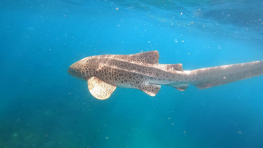 3a2751bc-ea70-4b83-b739-0ea300e7d27e