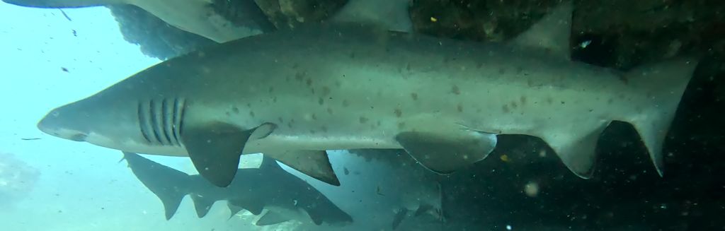 34ecc795-b604-42f4-af14-00c66422089c