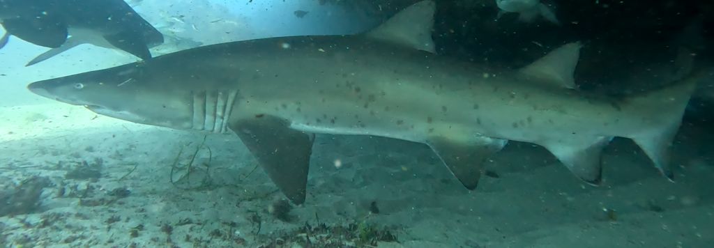 34ecc795-b604-42f4-af14-00c66422089c