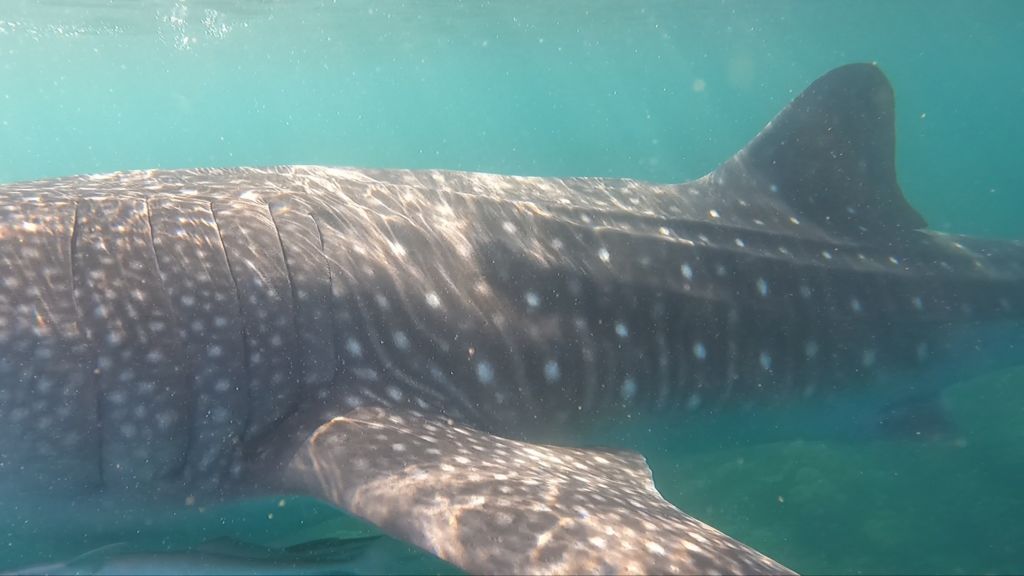 a4d53a79-ea8b-44e7-827a-e3ca38f7fbba