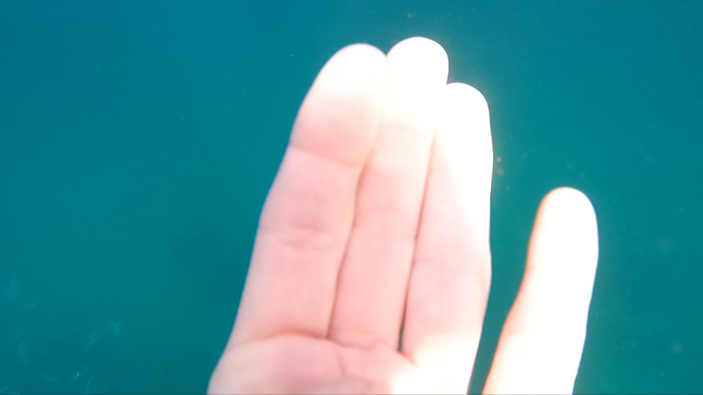 a4d53a79-ea8b-44e7-827a-e3ca38f7fbba