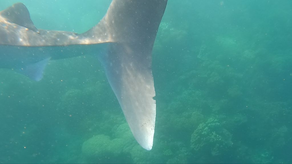 a4d53a79-ea8b-44e7-827a-e3ca38f7fbba