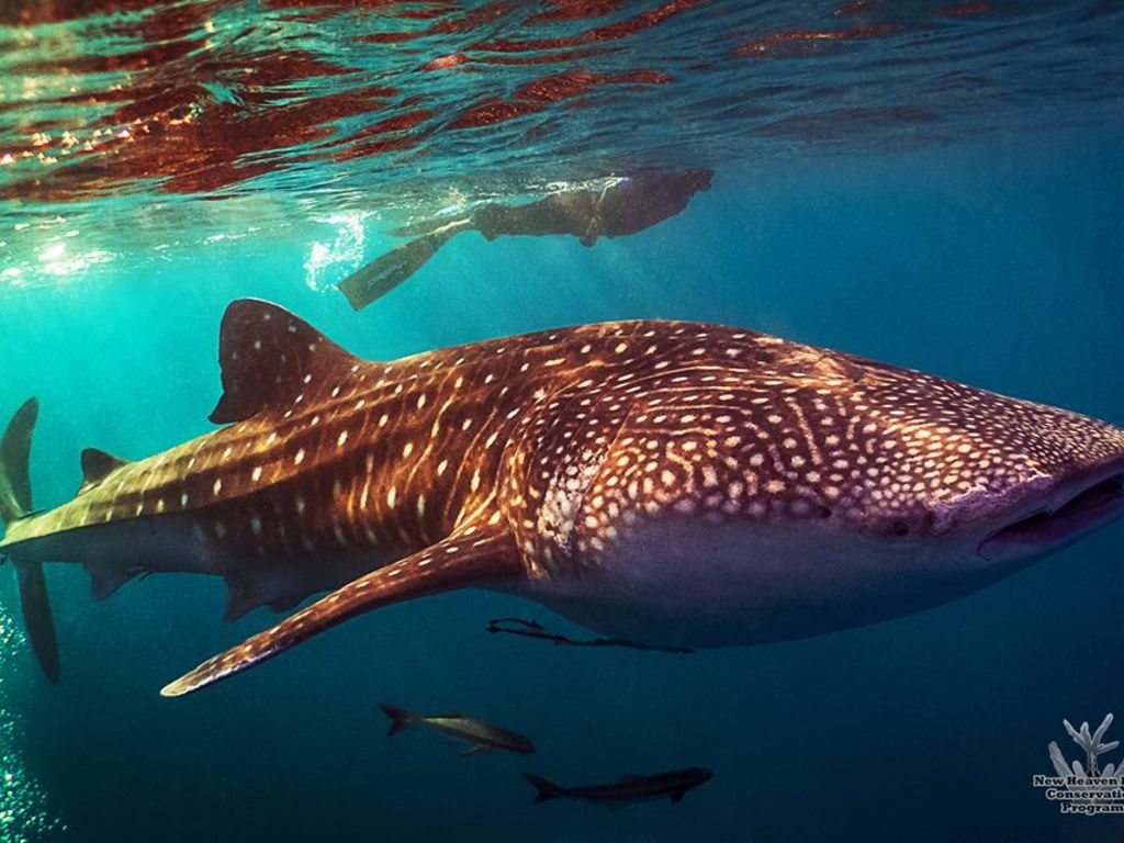 68efac38-0419-483b-9bbc-b5241aac8b4b