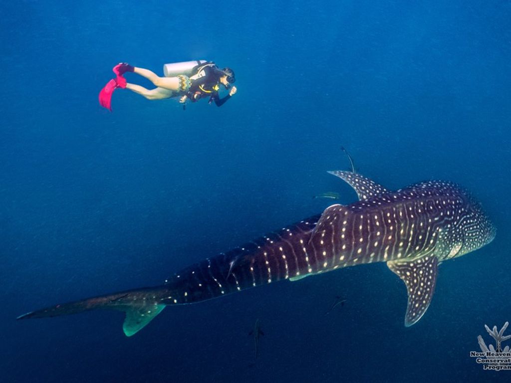 68efac38-0419-483b-9bbc-b5241aac8b4b