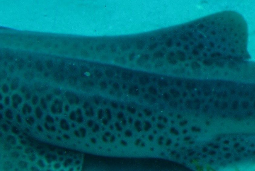 92b3f1b0-b56a-47d0-acfc-ad8577b979ad