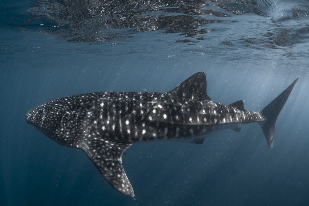 b5fbc1f8-8fa1-45f7-9f42-c83a9ab6119e