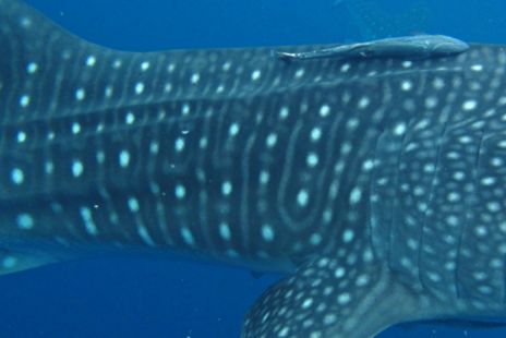 b6c74740-59cf-4b72-943d-36ed2486f00c