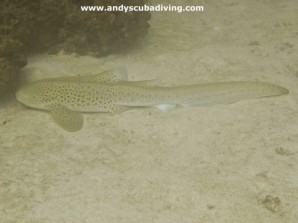 f68263dd-4f23-43ba-bac7-f7e5ead8133a