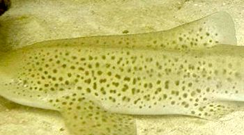 f68263dd-4f23-43ba-bac7-f7e5ead8133a