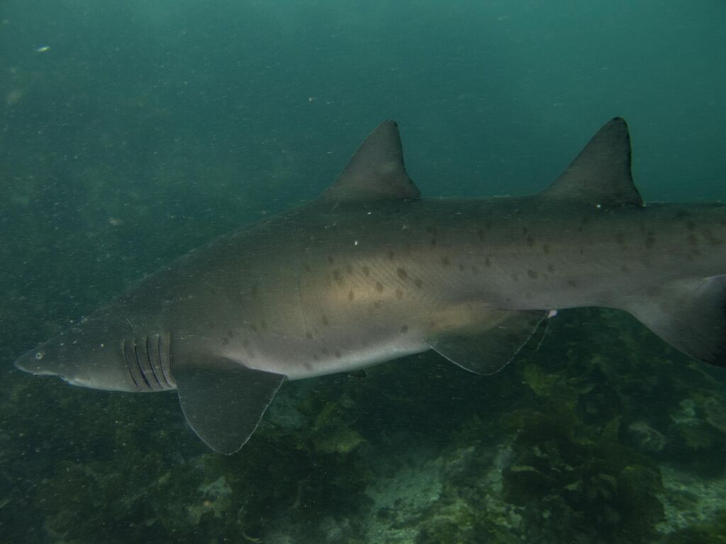 bd586eaf-e3a6-4f07-a372-6f8804183438