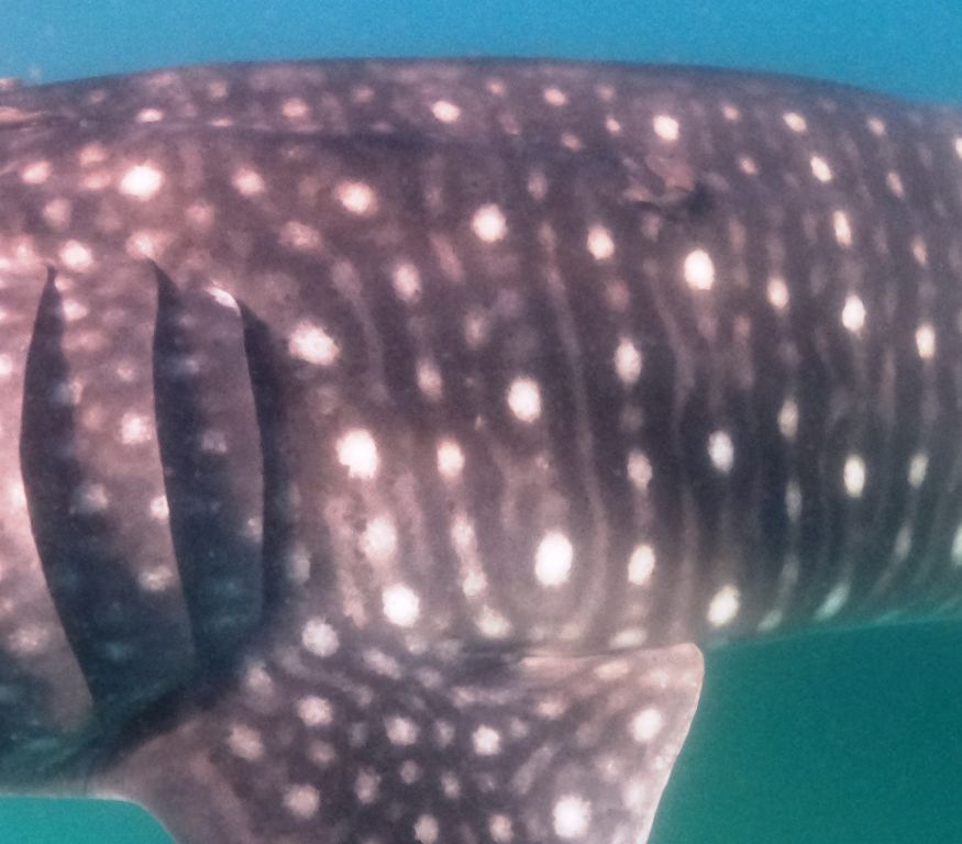 8cb487ee-6232-4003-aba6-eb22acb497b1