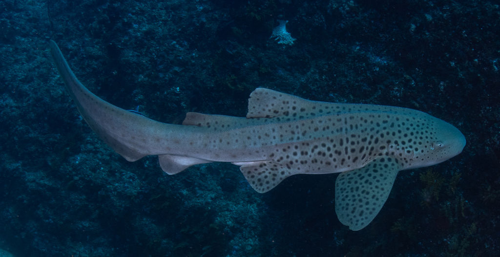 a8f4ce48-d627-4089-baa0-ada409ebddbb