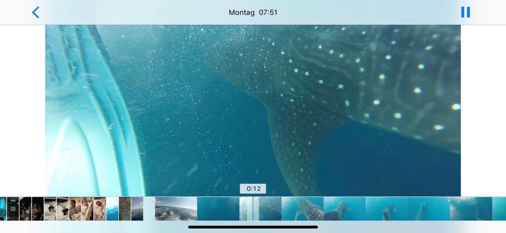 772367f5-c5a4-4dd7-b463-4b80611466fd