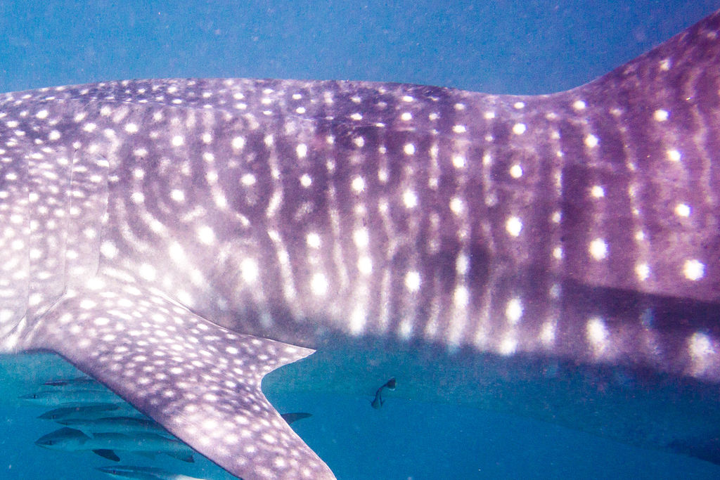 86d2064e-faf0-47b5-b8bb-37d8cd2ccc94