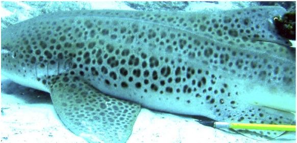 c429d50d-7bef-4eaf-babc-62f55ebfbdec