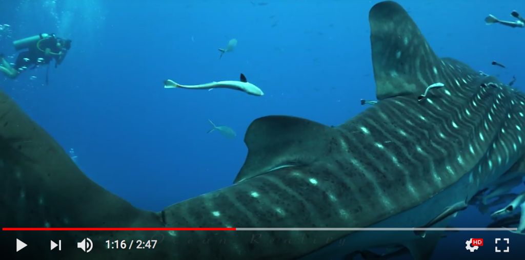 0a59f6fb-9548-4be0-b329-2420d333145c