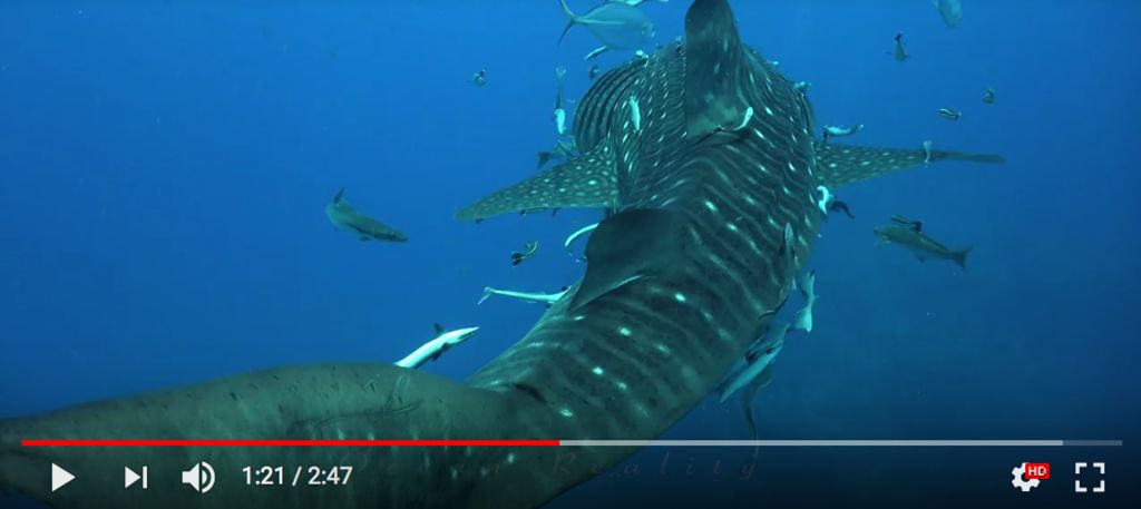 0a59f6fb-9548-4be0-b329-2420d333145c