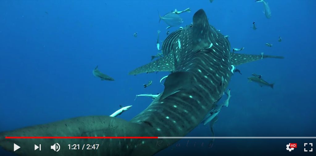 0a59f6fb-9548-4be0-b329-2420d333145c