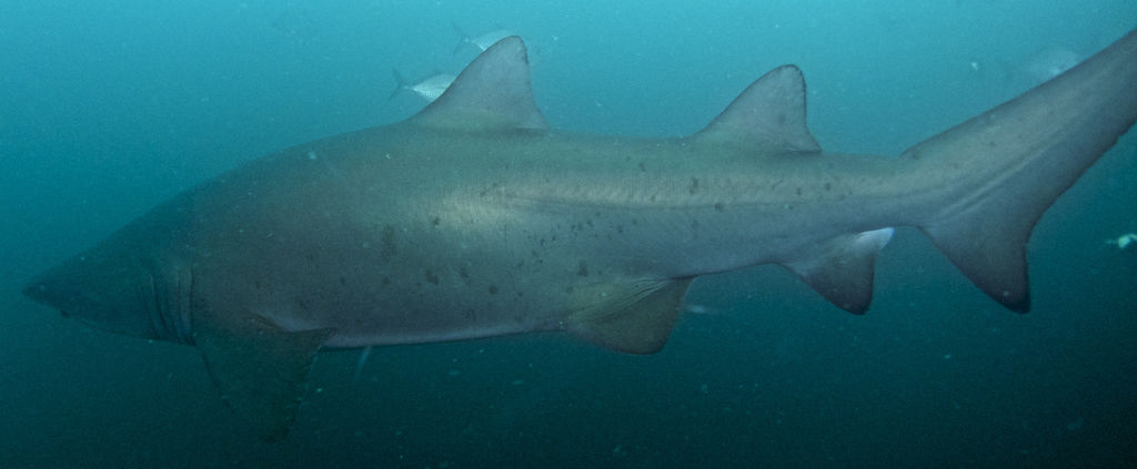 9d10b8e4-b81d-4c16-bd9c-704c4e96ee9b