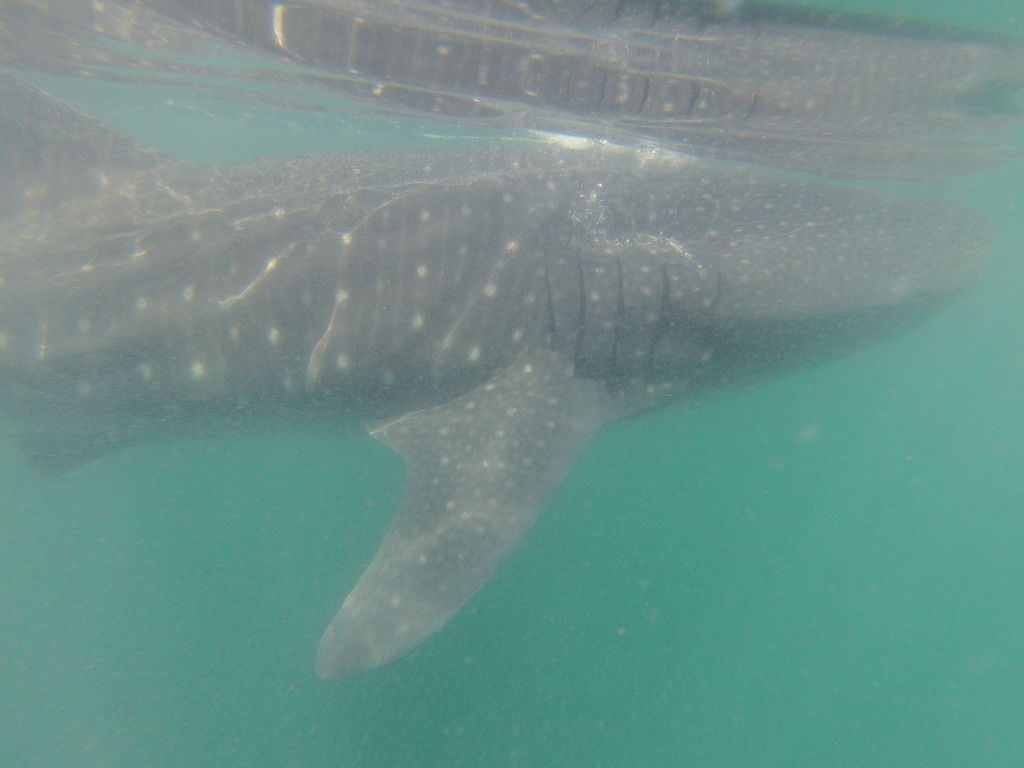 35db3291-0249-4c67-ac45-b8d8fef94223