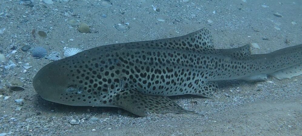 b68e8e5a-b368-40a0-939f-8f079c315aa0