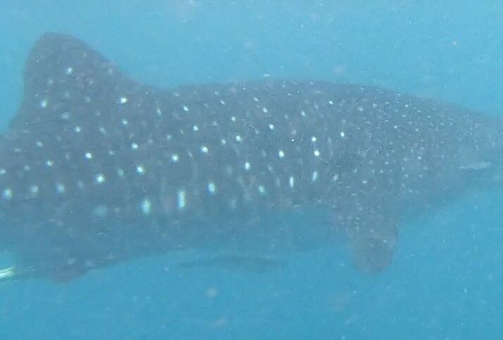 ad3a957e-d369-4b5a-b183-7dffa42f885c