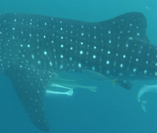 ad3a957e-d369-4b5a-b183-7dffa42f885c