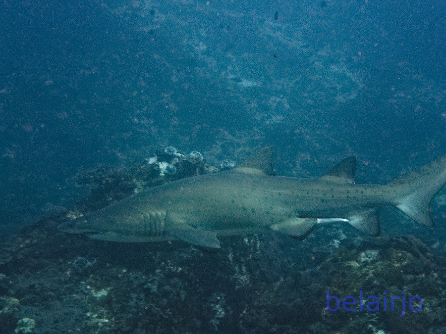 34f3f4b1-7012-4cdc-8e5d-cfe6bc826bba