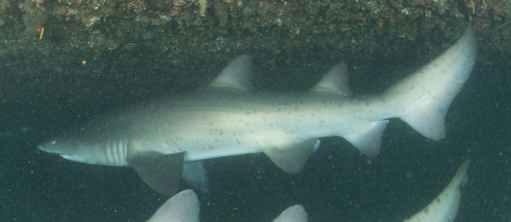 466bfa15-06fe-429b-95c3-5abdd5704bb3