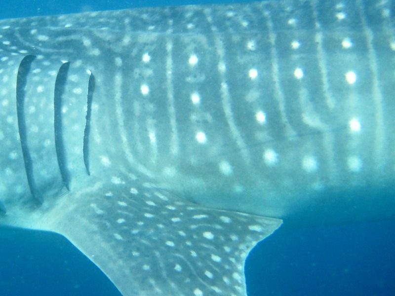 2f10490b-aa19-4b10-81d3-b1bf3ab5f9bc