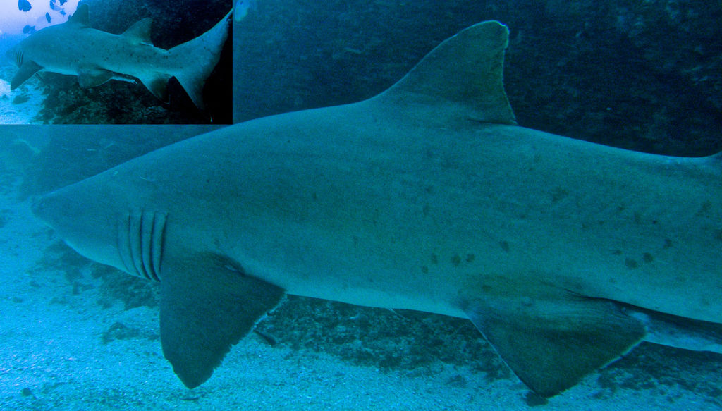 8a4dd11f-b387-4bd4-a3a7-b6907785a61a