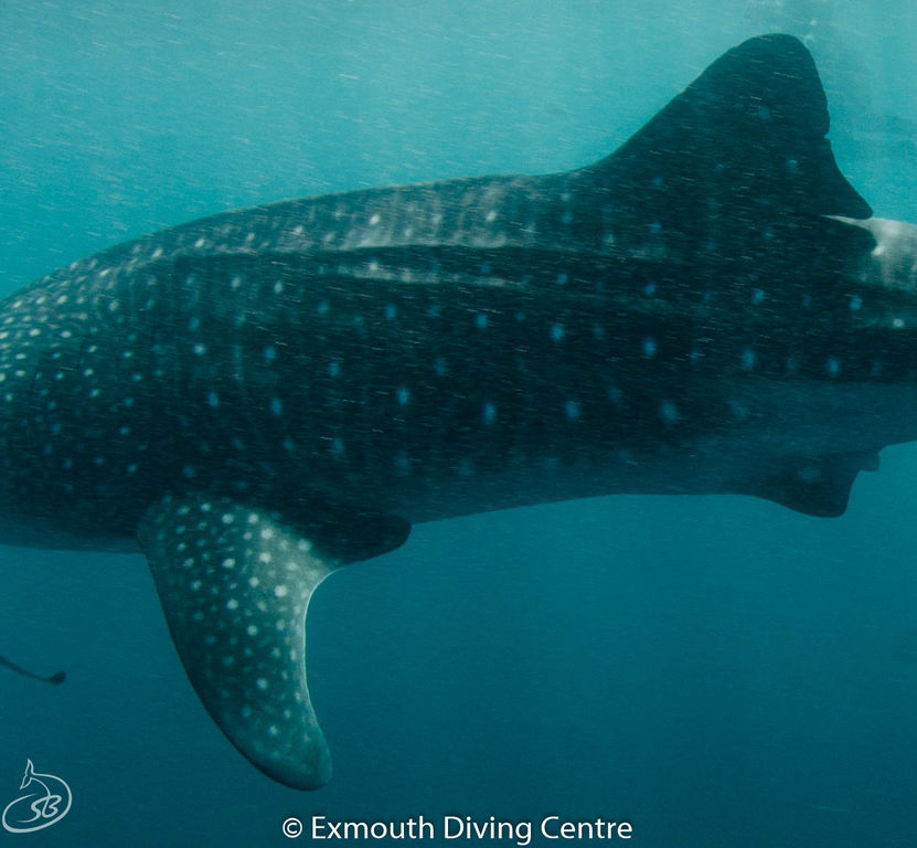 484d6beb-f0ad-40d2-927a-267f6e089635