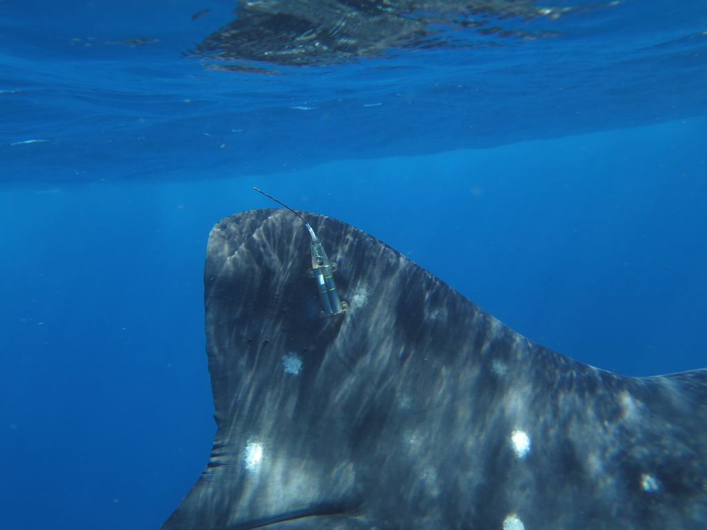 a964ac4c-6ec3-4916-93ec-b4bc49b03fa5