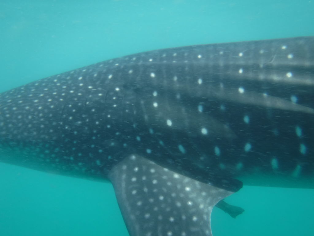 b874bd71-3f21-4553-8f8e-b6d76f61f483