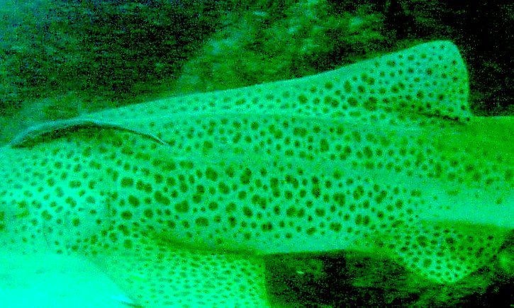 31704267-b6bd-4dab-a9d9-b71a7d146eb7