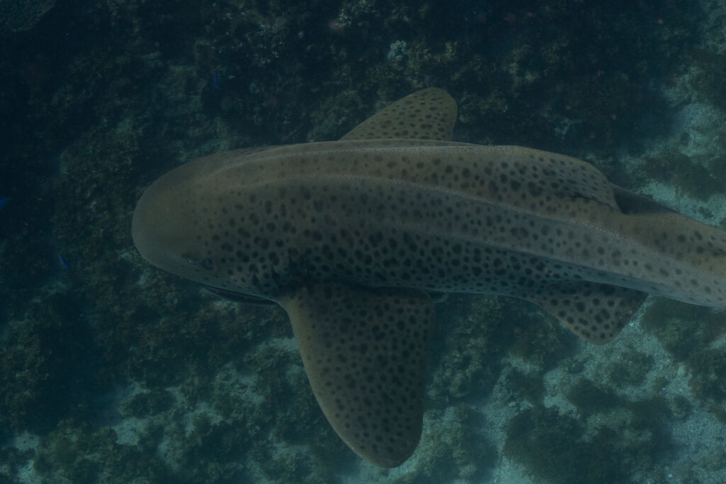 6e9400aa-2cc6-4d17-bf06-813aebbc187b