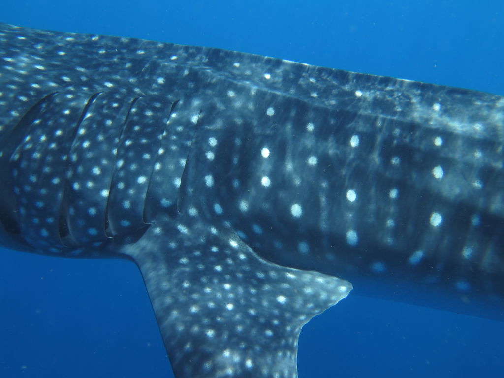 10b9e271-d7ac-441d-b559-05777d1b85ae