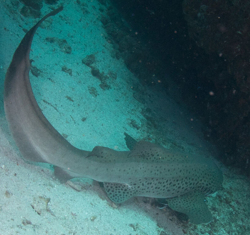 1e2540fe-8b89-407c-8d34-b9b0ceb38e6e