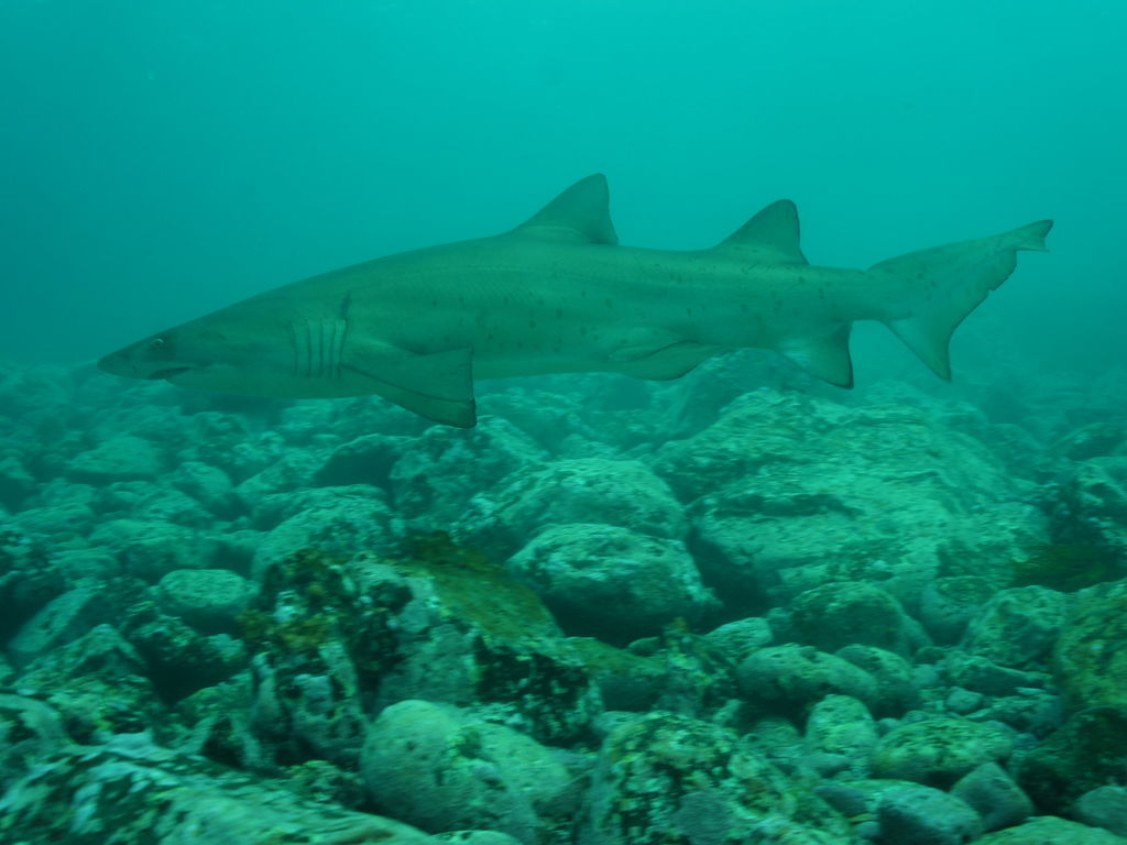 3f1390b4-8e32-4736-8208-68ba1264027f