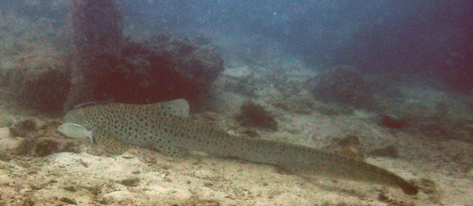 9532a6b1-3f7d-4207-a995-93ef13cccb87