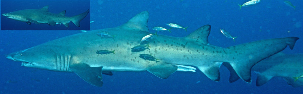 68d46f48-c0b7-4a7c-95c0-5bb19b00be23