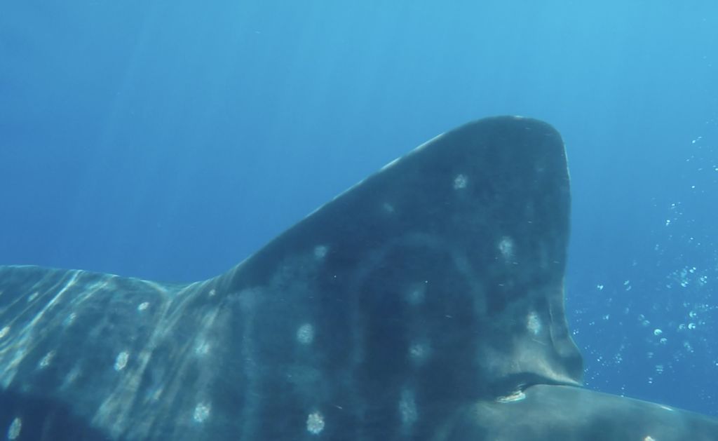 bf128b09-5cf2-4fa4-9528-40de4fb77537