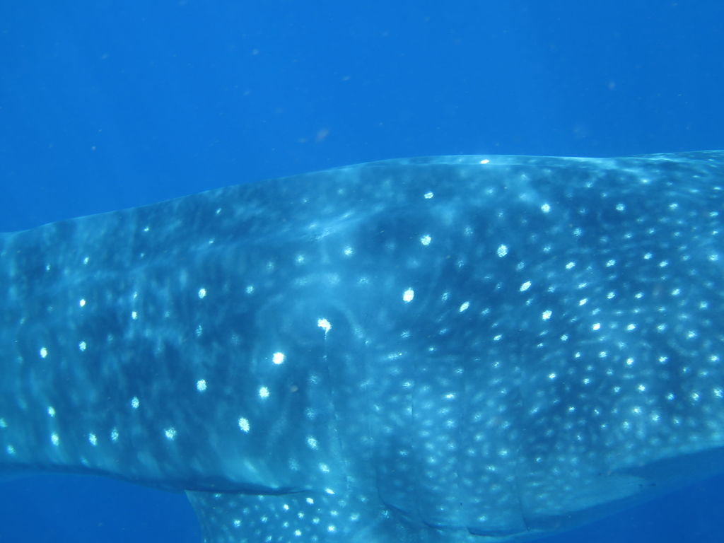 67629b89-5283-4b1d-9521-29c794b00507