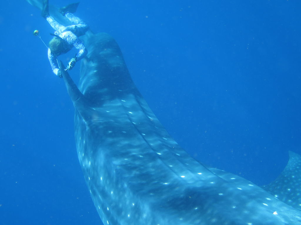 67629b89-5283-4b1d-9521-29c794b00507