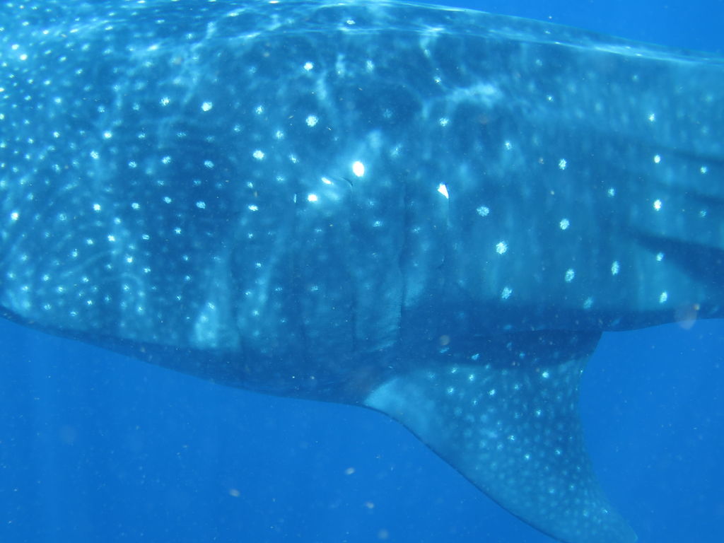 67629b89-5283-4b1d-9521-29c794b00507