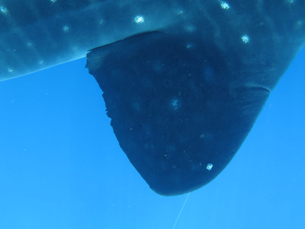 67629b89-5283-4b1d-9521-29c794b00507